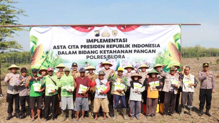 IMG-20241105-WA0030