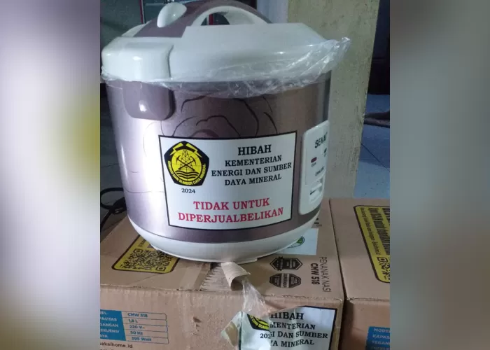 Rice-cooker-2623491315
